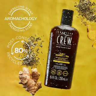 AMERICAN CREW 3 IN 1 Ginger Tea Shampoo (450ml) - TBBS