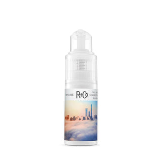 R+Co Skyline Dry Shampoo Powder - TBBS