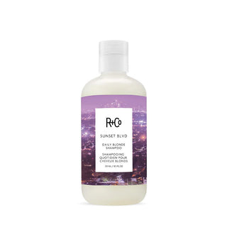 R+Co SUNSET BLVD Daily Blonde Shampoo - TBBS