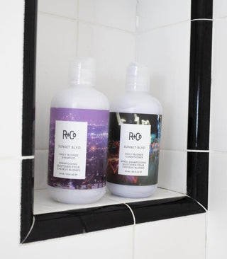 R+Co SUNSET BLVD Daily Blonde Shampoo - TBBS