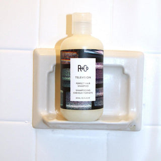 R+Co TELEVISION Perfect Hair Shampoo - TBBS