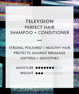 R+Co TELEVISION Perfect Hair Shampoo - TBBS